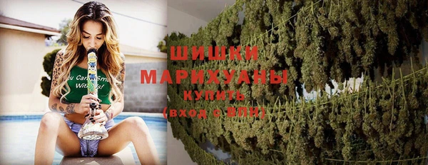 PSILOCYBIN Верхний Тагил