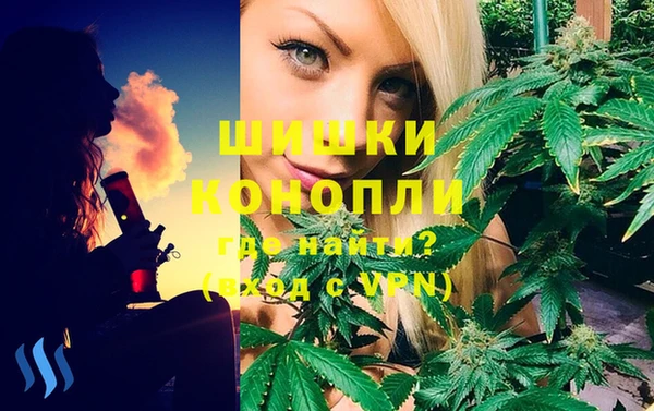PSILOCYBIN Верхний Тагил