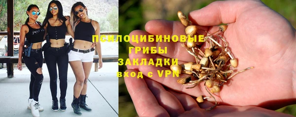 PSILOCYBIN Верхний Тагил