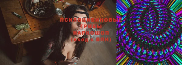 PSILOCYBIN Верхний Тагил