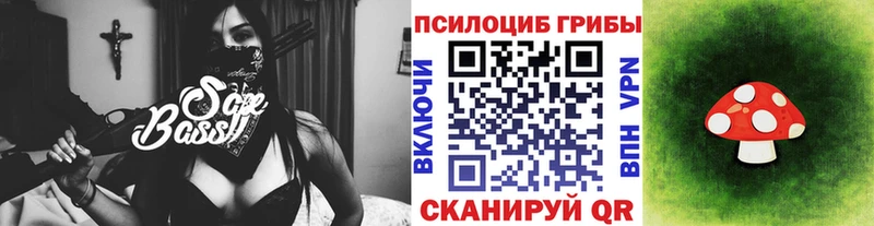 MEGA ONION  наркотики  Северобайкальск  Галлюциногенные грибы Cubensis 