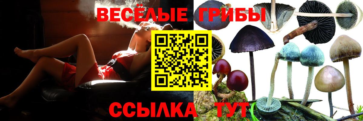 Галлюциногенные грибы мухоморы  Галлюциногенные грибы Magic Shrooms  Северобайкальск  Вход с VPN 