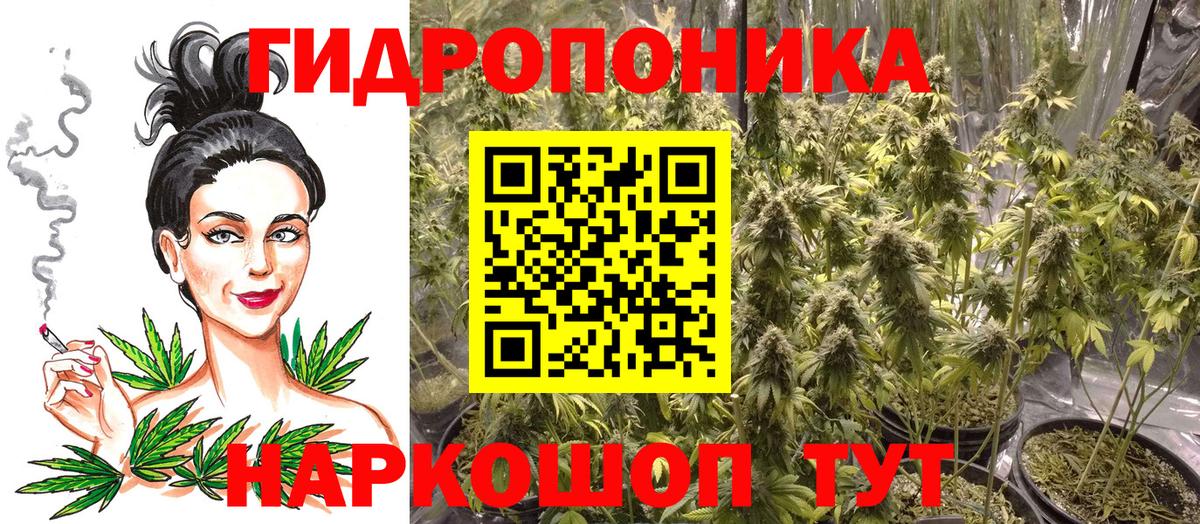 Северобайкальск  Марихуана OG Kush  Бошки марихуана LSD WEED  Вход с VPN  Каннабис THC 21%  Бошки Шишки план 